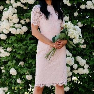 Rachel Parcell Blush Lace Midi Dress